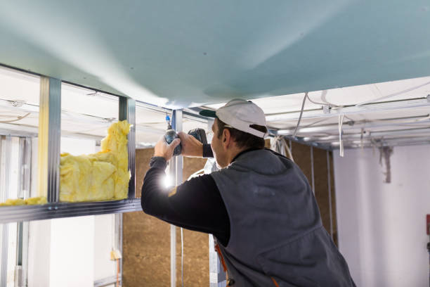 Best Insulation for Specific Applications in Pagedale, MO